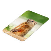Magnet Flexible Jeune marmotte (Côté Gauche)