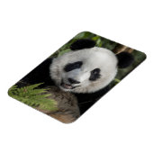 Magnet Flexible Jeune panda heureux, Chine (Côté Gauche)