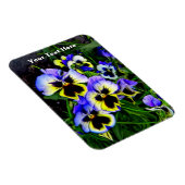 Magnet Flexible Johnny Jump Up (Côté Droit)