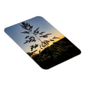 Magnet Flexible Johnson Grass (Côté Droit)