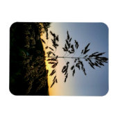 Magnet Flexible Johnson Grass (Horizontal)