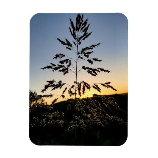 Magnet Flexible Johnson Grass (Vertical)