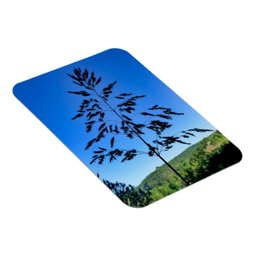 Magnet Flexible Johnson Grass (Côté Droit)