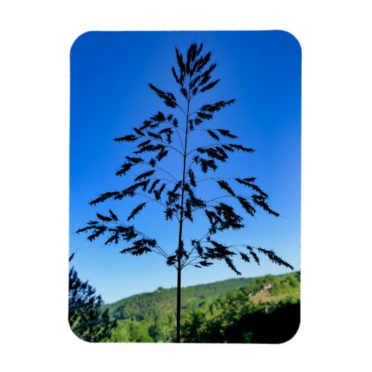 Magnet Flexible Johnson Grass (Vertical)