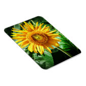 Magnet Flexible Joie de Tournesol (Côté Droit)