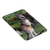 Magnet Flexible Joie moelleuse mignonne Kangaroo (Côté Droit)