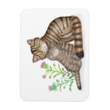 Joli aimant représentant un chat sauvage écossais