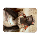 Magnet Flexible Joli Chimp en Gown (Horizontal)