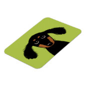 Magnet Flexible Joli chiot teckel à longs poils (Côté Gauche)