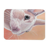 Magnet Flexible Joli lapin (Horizontal)