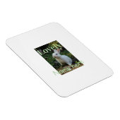 Magnet Flexible Joli nom de photo de lapin de compagnie vert paste (Côté Droit)