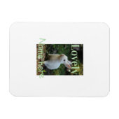 Magnet Flexible Joli nom de photo de lapin de compagnie vert paste (Horizontal)