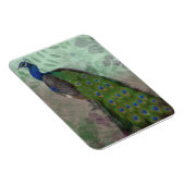 Magnet Flexible Joli Peacock (Côté Droit)