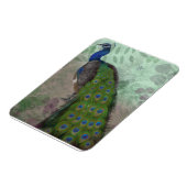 Magnet Flexible Joli Peacock (Côté Gauche)