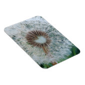 Magnet Flexible Joli Pissenlit Blanc (Côté Droit)