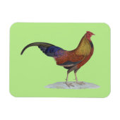 Magnet Flexible Joli Rooster d'alerte (Horizontal)