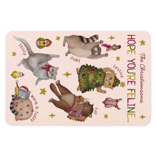 Magnet Flexible Joli tableau de sentiments Amoureux de les chats c (Horizontal)