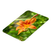 Magnet Flexible Jolie grande fleur Lily photo (Côté Gauche)