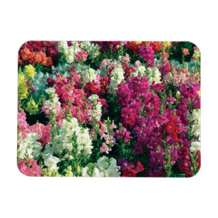 Magnet Flexible jolies fleurs colorées de jardin