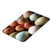 Magnet Flexible Jolies Oeufs De La Ferme De Poulet (Côté Gauche)
