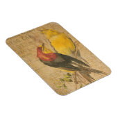 Magnet Flexible Jolies oiseaux (Côté Droit)