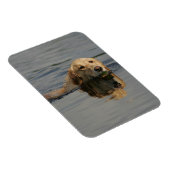 Magnet Flexible Jolis Retriever (Côté Droit)