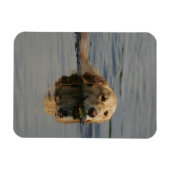 Magnet Flexible Jolis Retriever (Horizontal)