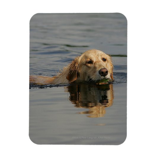 Magnet Flexible Jolis Retriever (Vertical)