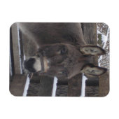 Magnet Flexible Jonathan (Horizontal)