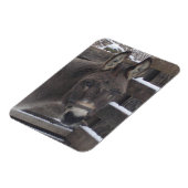 Magnet Flexible Jonathan (Côté Gauche)
