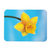 Magnet Flexible Jonquille jaune vif (Horizontal)