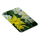 Magnet Flexible Jonquilles (Côté Droit)