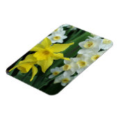 Magnet Flexible Jonquilles (Côté Gauche)