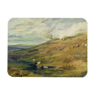 Magnet Flexible Joseph Mallord William Turner Dartmoor : L'aigre