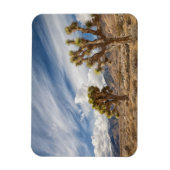Magnet Flexible Joshua Trees dans le désert (Vertical)