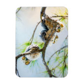 Magnet Flexible Jote Baby Ows Wildlife Photography (Vertical)