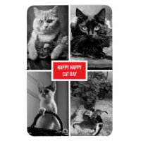 jour de chat noir blanc rouge