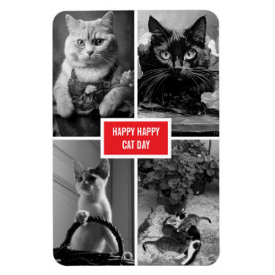 Magnet Flexible jour de chat noir blanc rouge
