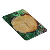 Magnet Flexible Journal scié dans une forêt (Côté Droit)
