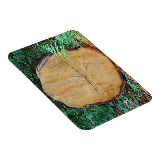 Magnet Flexible Journal scié dans une forêt (Côté Droit)