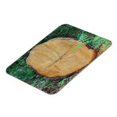 Magnet Flexible Journal scié dans une forêt (Côté Gauche)