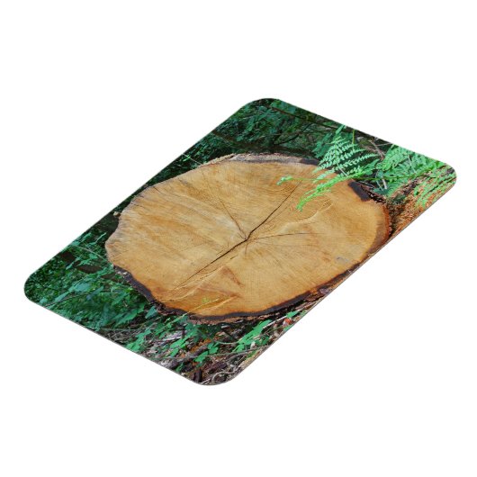 Magnet Flexible Journal scié dans une forêt (Côté Gauche)