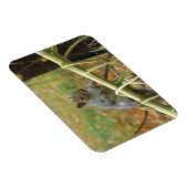 Magnet Flexible Joyeux amant écureuil gris (Côté Droit)