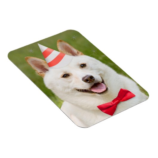 Magnet Flexible Joyeux Anniversaire N'Importe Qui Shiba Inu Chien (Côté Droit)