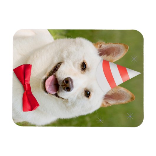 Magnet Flexible Joyeux Anniversaire N'Importe Qui Shiba Inu Chien (Horizontal)