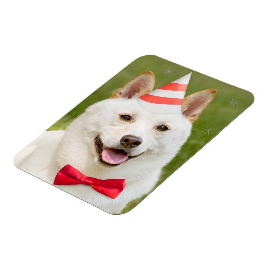 Magnet Flexible Joyeux Anniversaire N'Importe Qui Shiba Inu Chien (Côté Gauche)