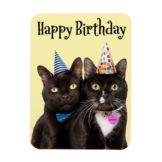 Magnet Flexible Joyeux anniversaire pour tous deux chats en Casque (Vertical)
