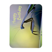 Magnet Flexible Joyeux Anniversaire priant Mantis (Vertical)