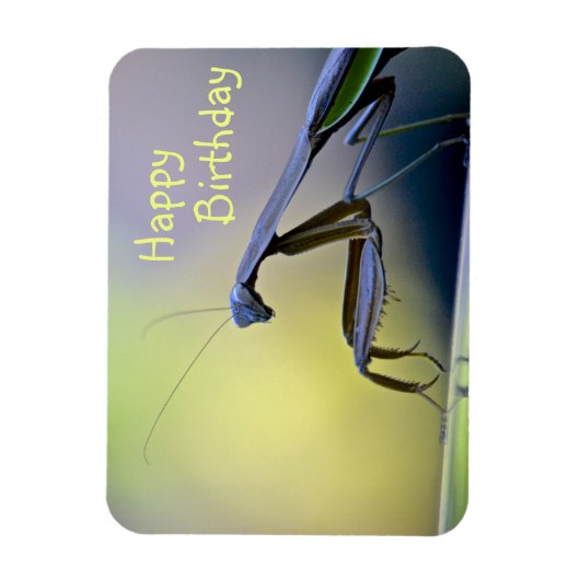 Magnet Flexible Joyeux Anniversaire priant Mantis (Vertical)