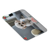Magnet Flexible Joyeux Carte photo de Noël de animal de compagnie (Côté Droit)